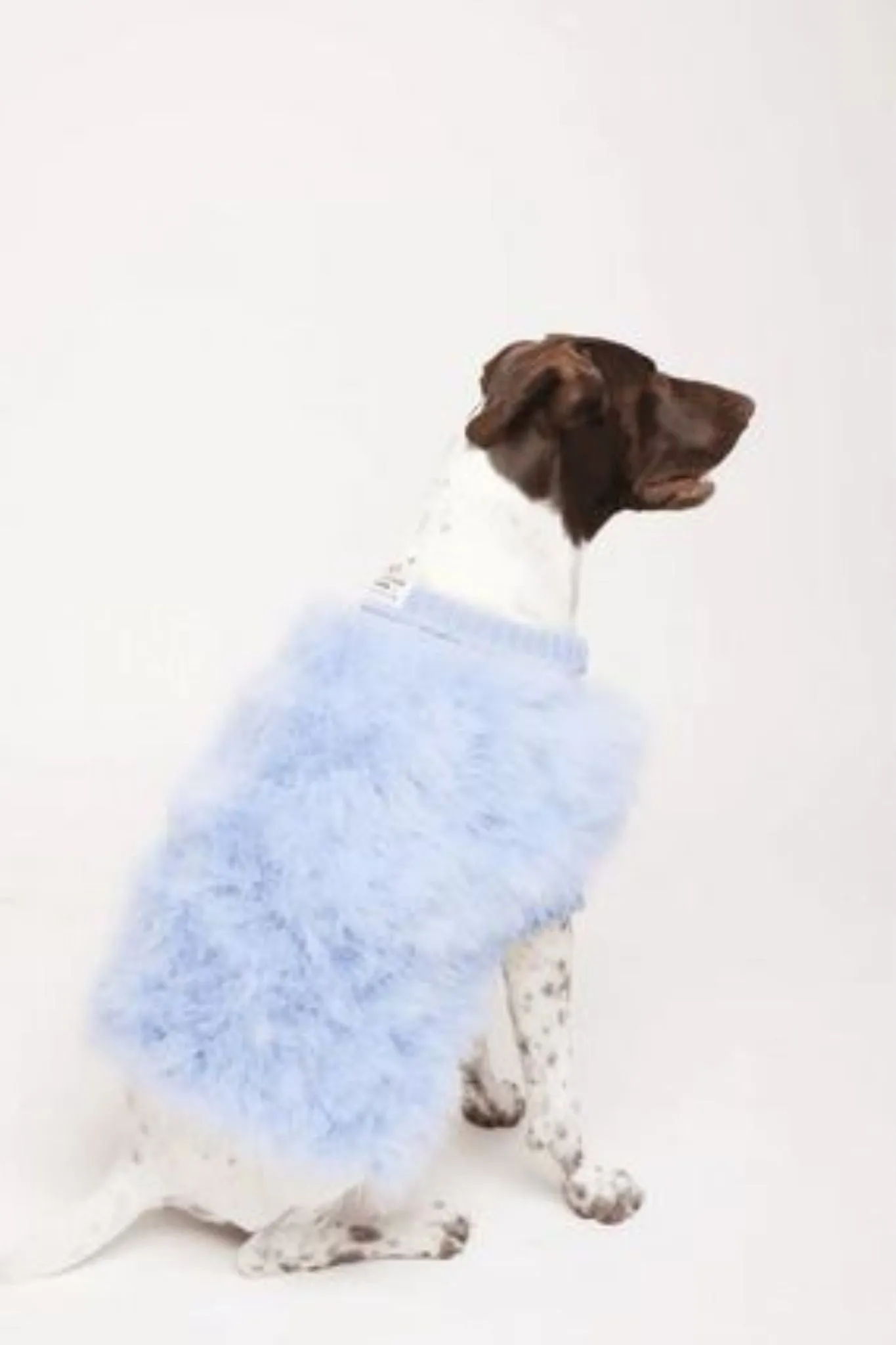 Christian Cowan x Maxbone: Dog Jumper - Light Blue