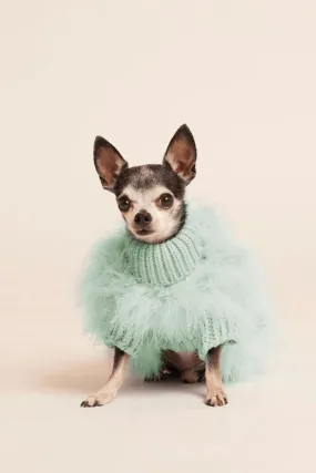 Christian Cowan x Maxbone: Dog Jumper - Mint