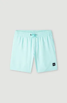 Future Surf Society 14'' Swim Shorts | Beach Glass