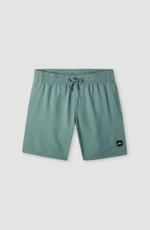 Future Surf Society 14'' Swim Shorts | North Atlantic