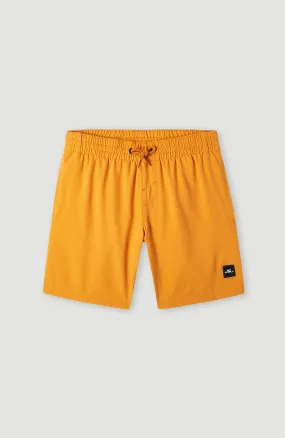 Future Surf Society 14'' Swim Shorts | Nugget