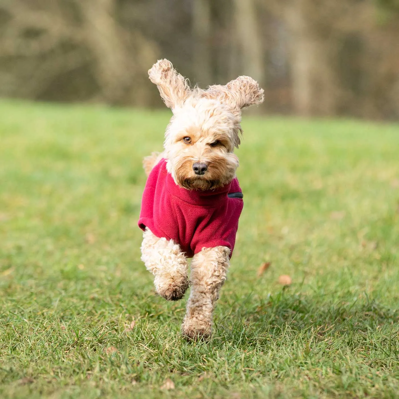 Hugo & Hudson Cosy Fleece Jacket