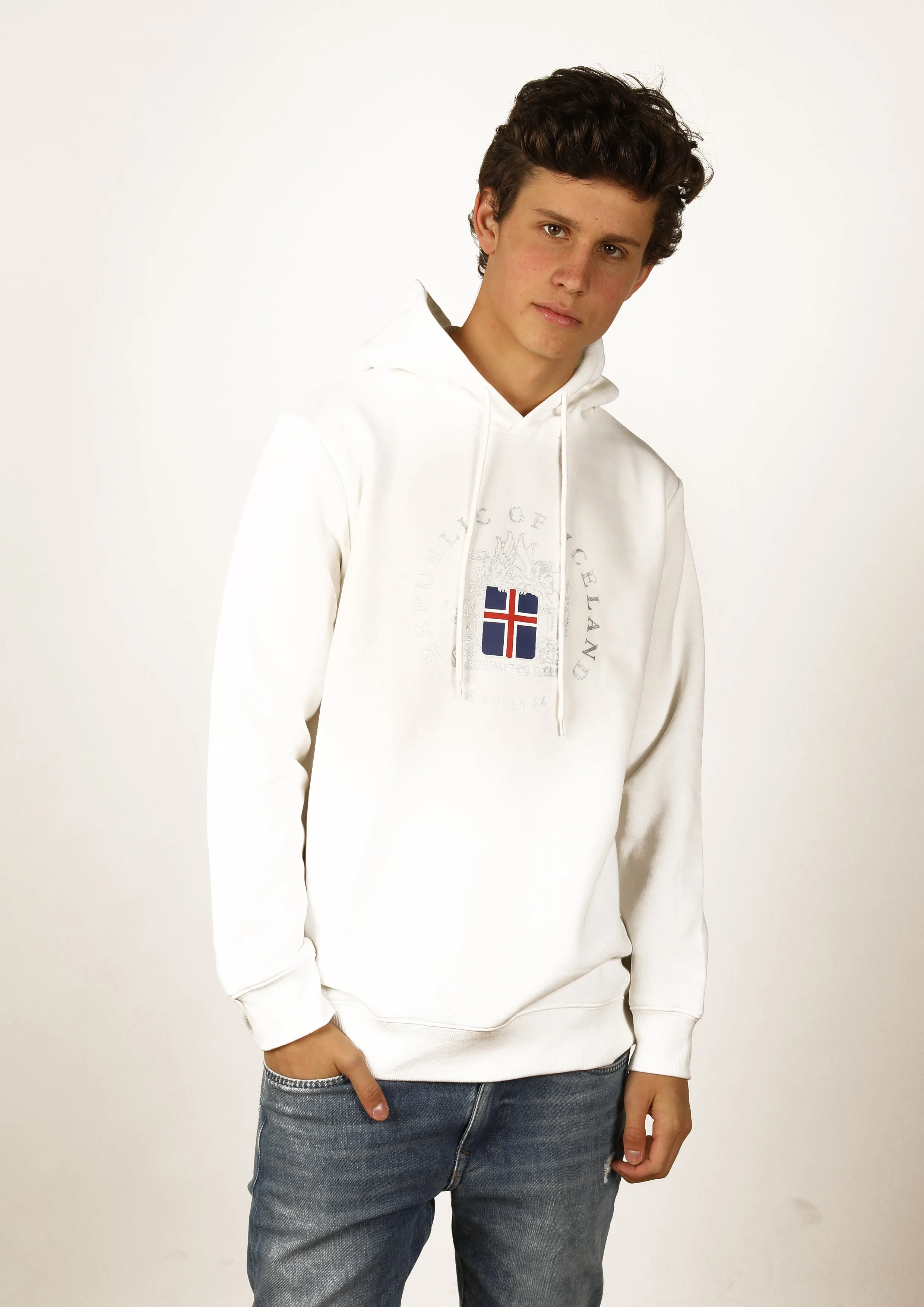 Iceland Men Hoodie Coat of Arms