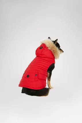 Toby Jacket for Dogs