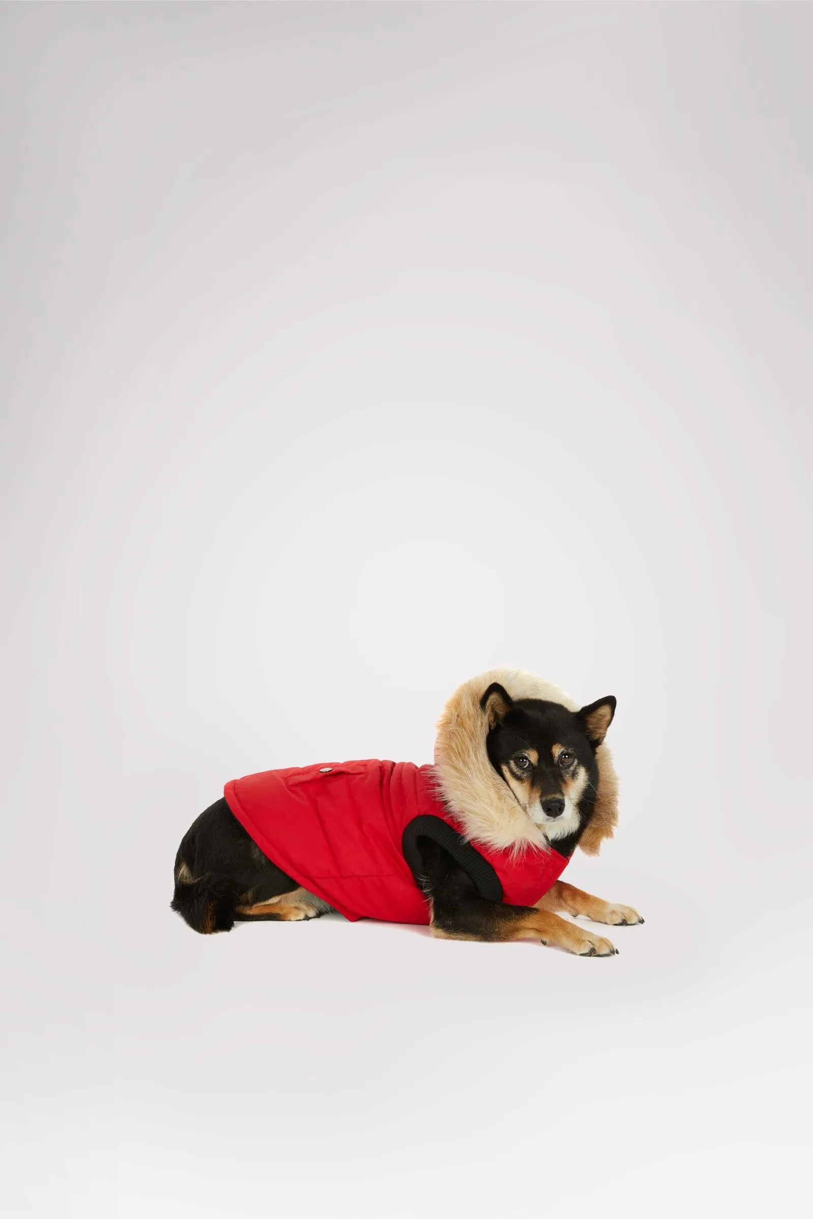 Toby Jacket for Dogs